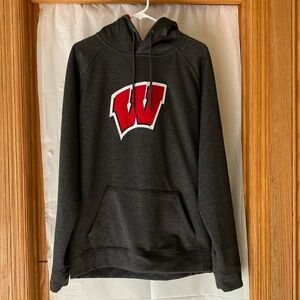 Wisconsin Badgers Colosseum Stadium Men’s L Arch & Logo Pullover Hoodie Gray